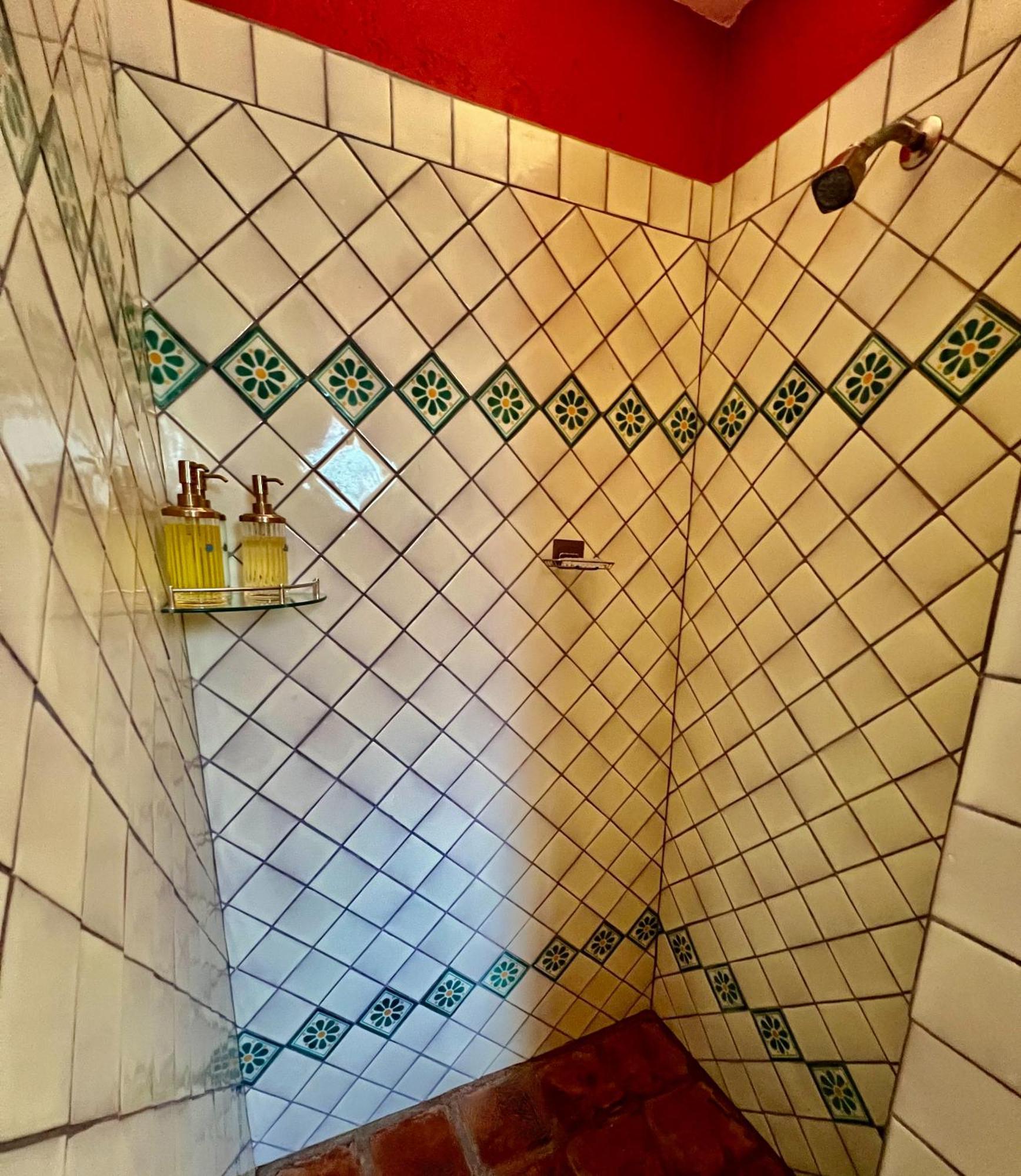 Boutique Hotel Casa Camellia San Miguel de Allende Bagian luar foto