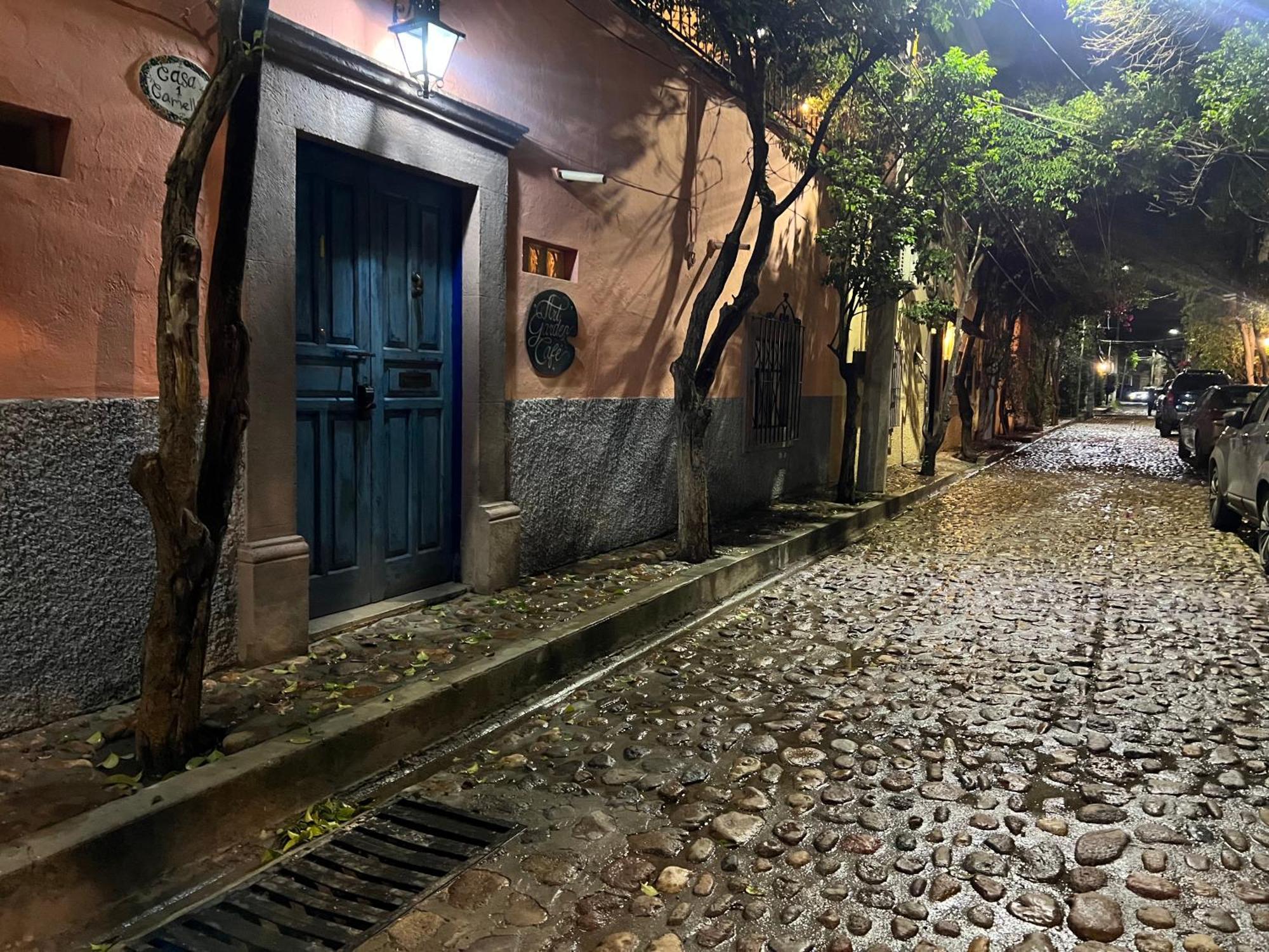 Boutique Hotel Casa Camellia San Miguel de Allende Bagian luar foto