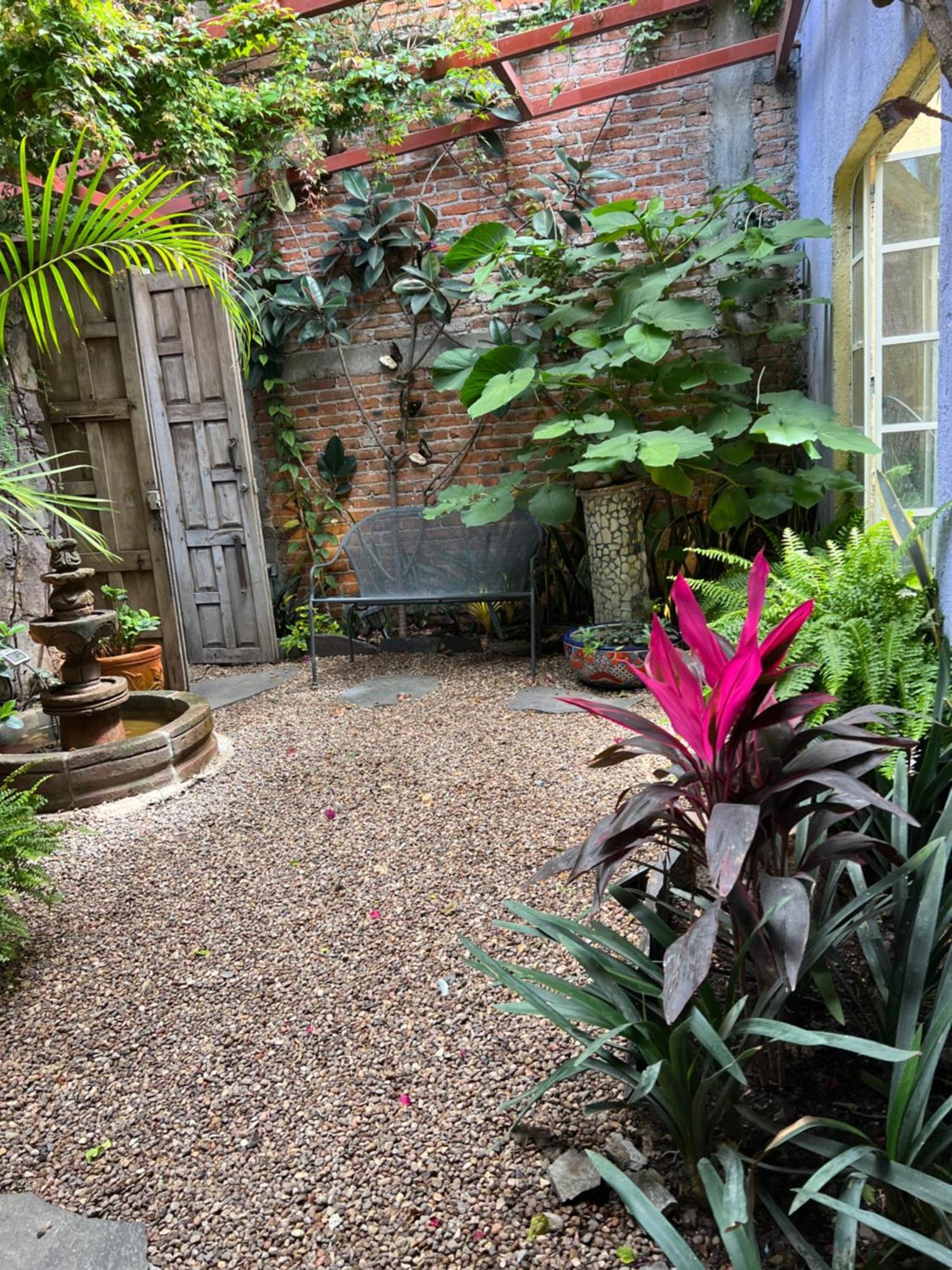 Boutique Hotel Casa Camellia San Miguel de Allende Bagian luar foto