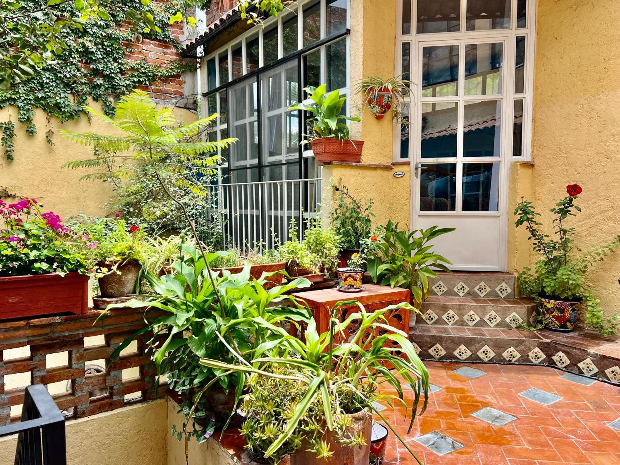 Boutique Hotel Casa Camellia San Miguel de Allende Bagian luar foto